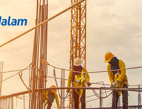 Prodalam Chile colabora com a Perceptiva para evoluir em Analytics